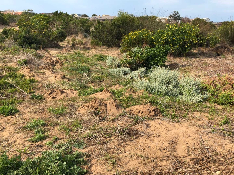 0 Bedroom Property for Sale in Reebok Western Cape